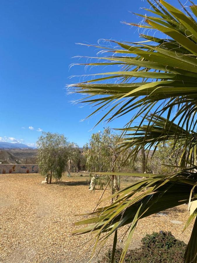 Oasis Montana Peace In Tabernas Desert 외부 사진